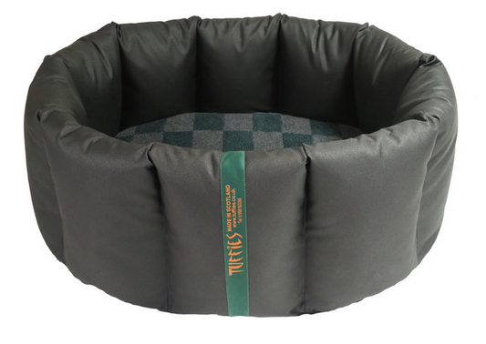 (Full Nest Black with Wild Storm)
