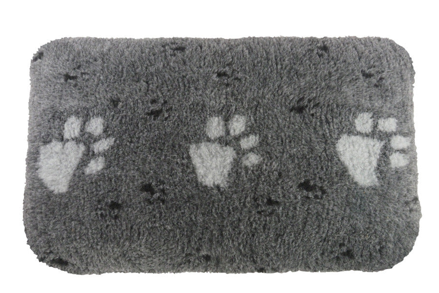 (Grey with White Paws)