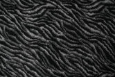 (Zebra)