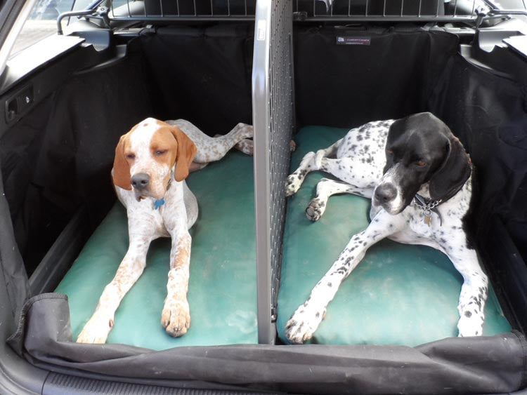 Two dogs lying on bespoke dog beds, fitted to the boot in the back of a vehicle
