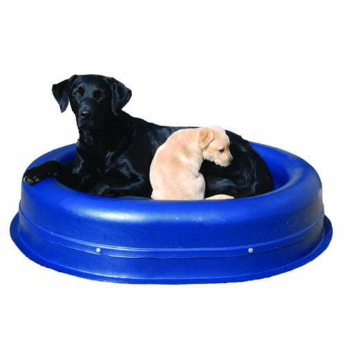 chewable dog bed