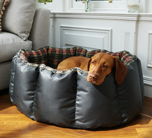 quality dog beds uk