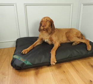 Mattress Dog Beds