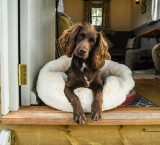 Mini Wolf Den - Dog Beds Small Breeds.  