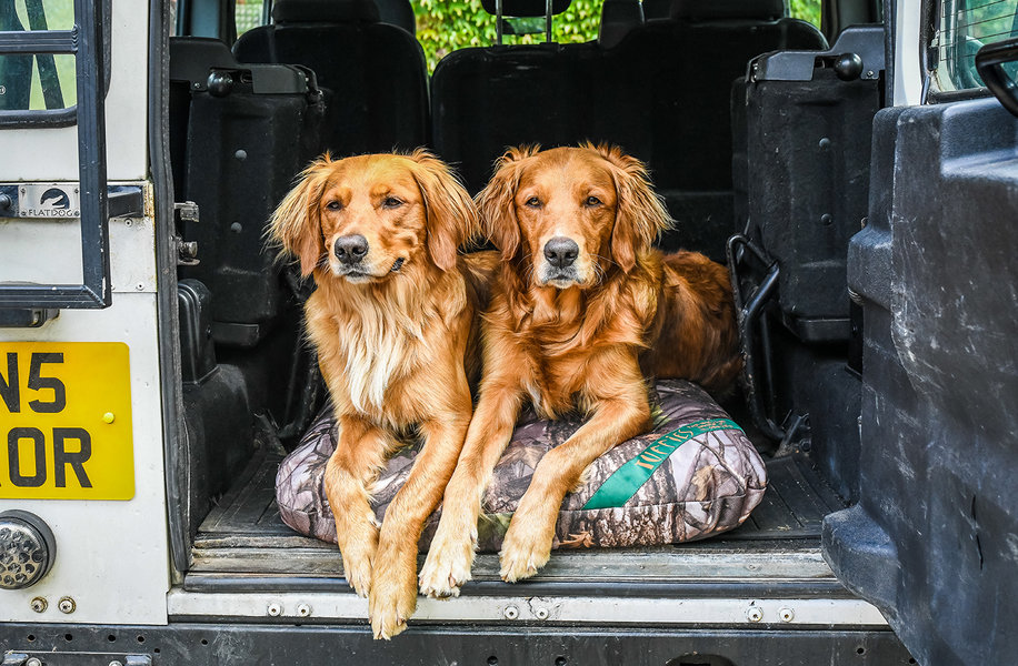 The Mossy Oak Camouflage Tuffies Mattress Thumbnail