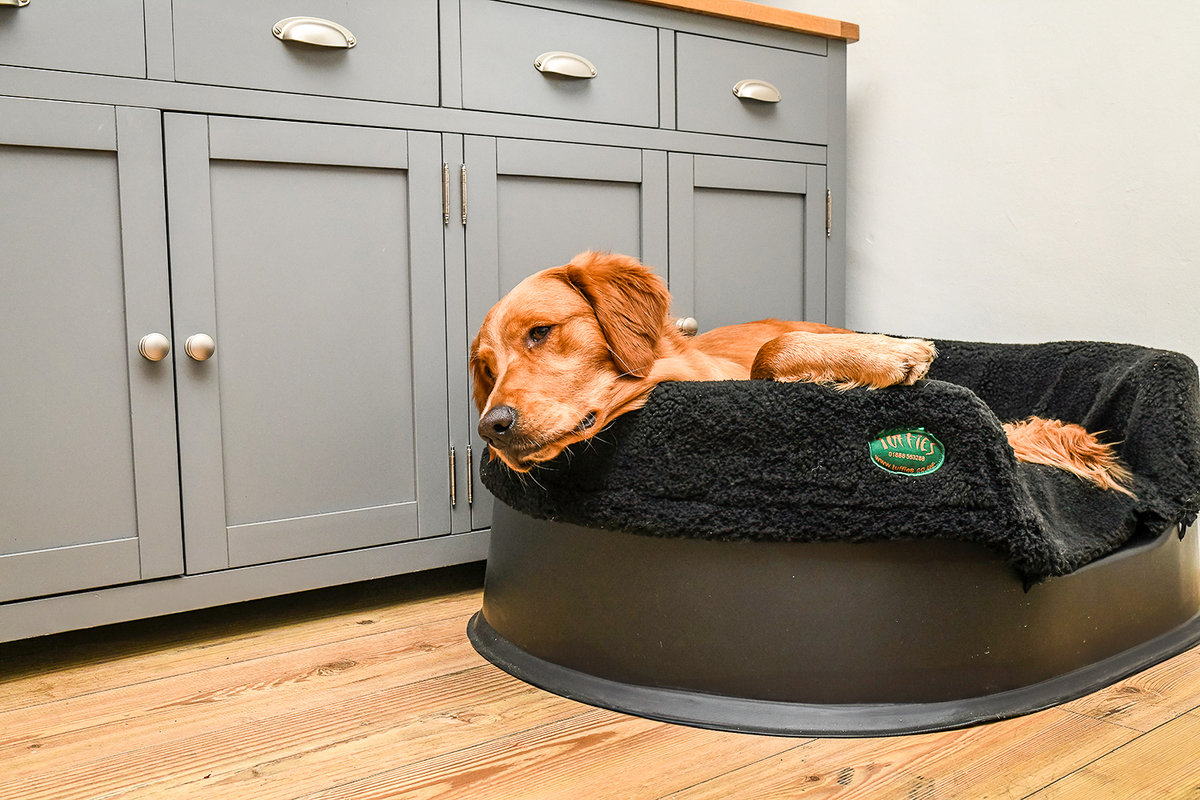 Dog hard bed liner best sale